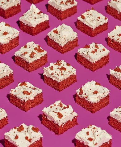 20251115-VAN-PLANTEN-PLANT-FWD0494