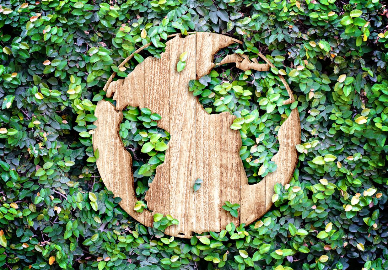 Eco concept :Wood texture world icon on green leaves wall.