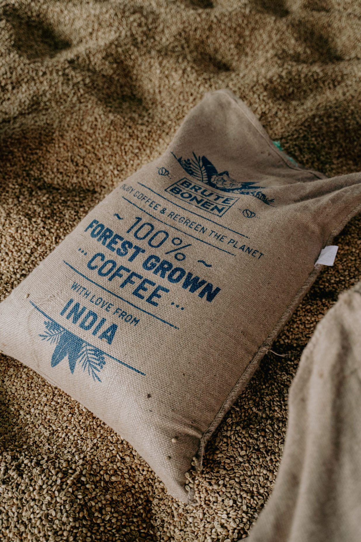 Brute Bonen Koffiereis - India