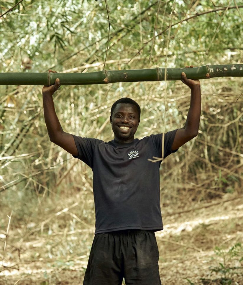 Ghana Bamboe