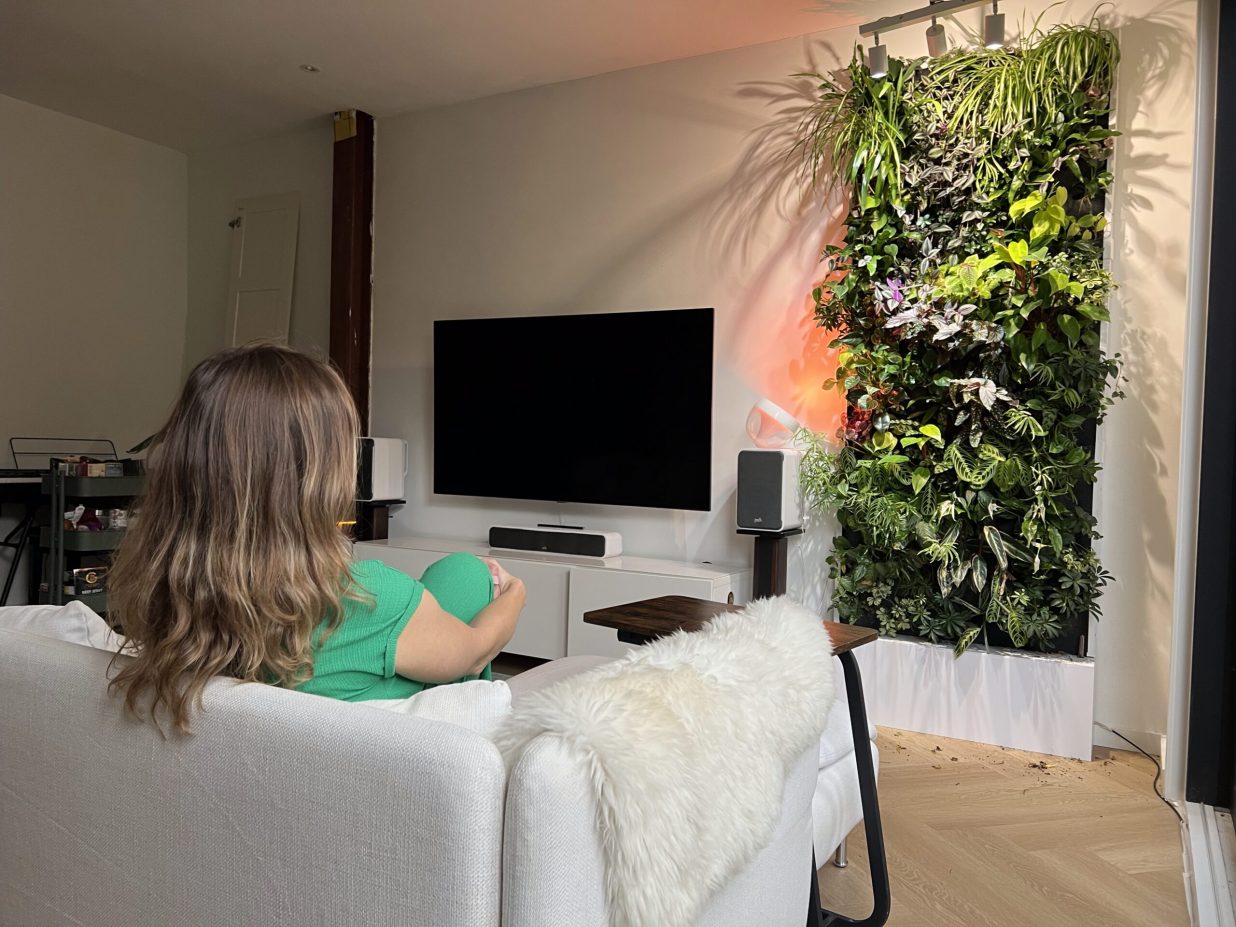 Living room life style