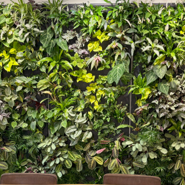 Screenshot 2025-10-02 172127