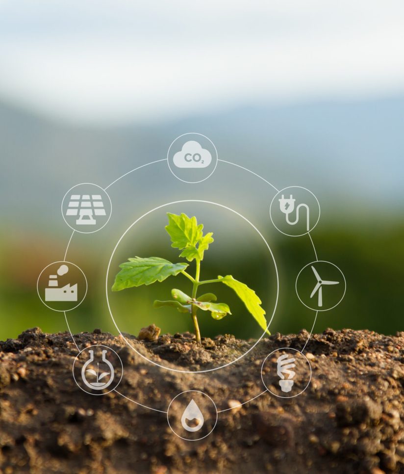 Seedling with bubble of eco icon with green nature background. Clean environment, Solution of Air and Environment pollution concept.